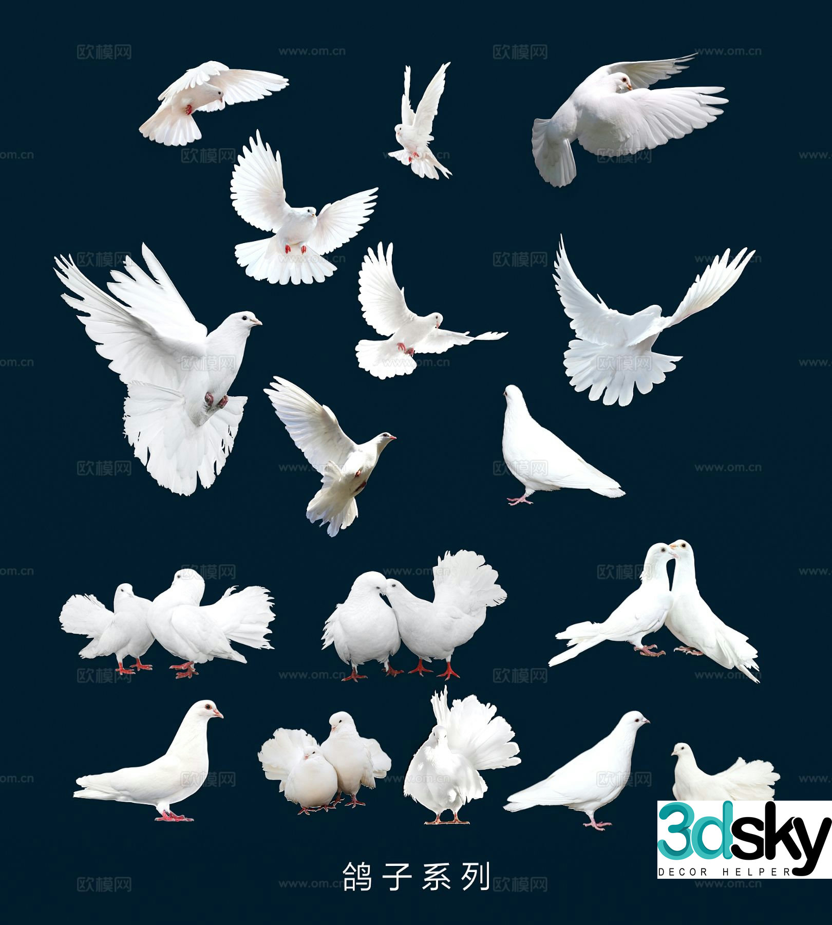dove dove of peace wall decoration wall sticker 3d model