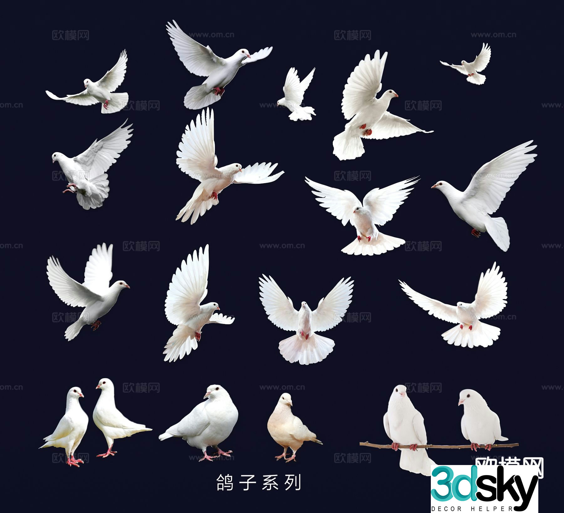 Peace dove dove wall decoration wall sticker animal 3d model