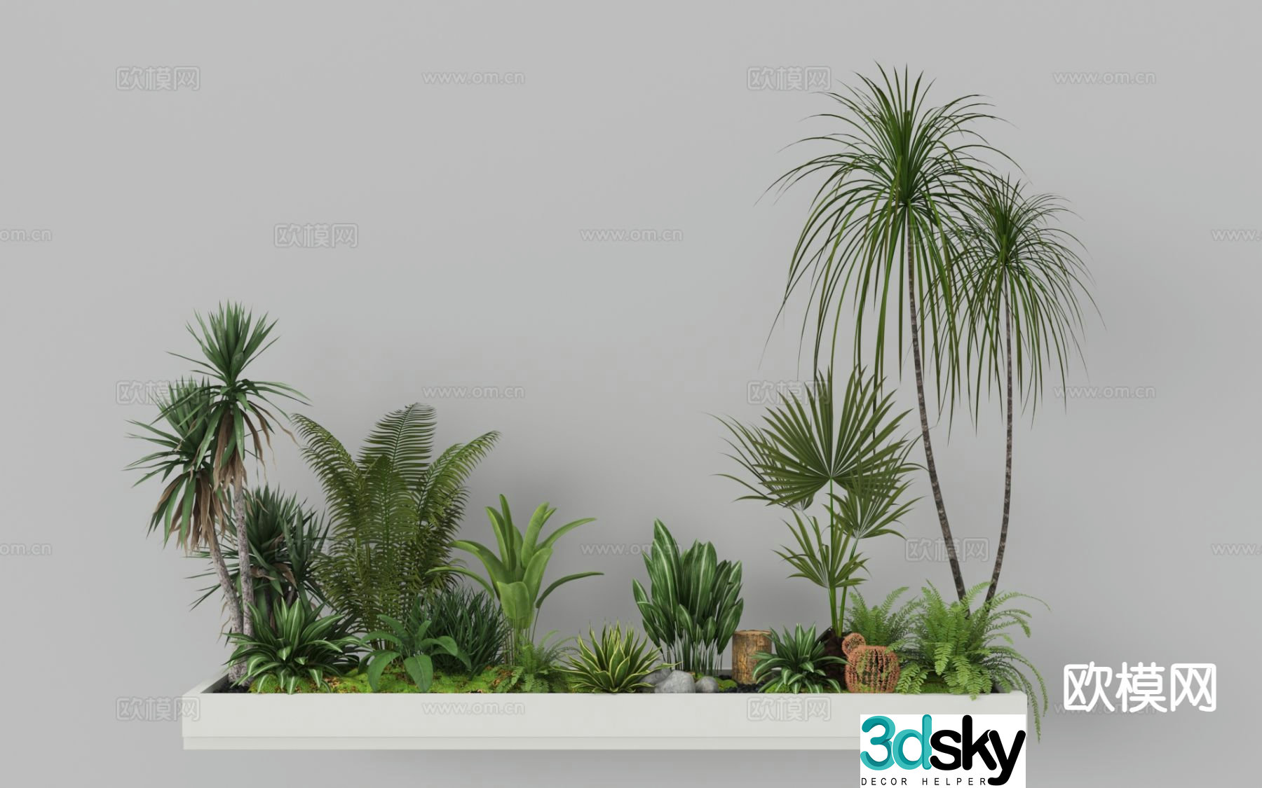 Plant landscaping ferns plant piles micro-terrain tropical plants 3D model