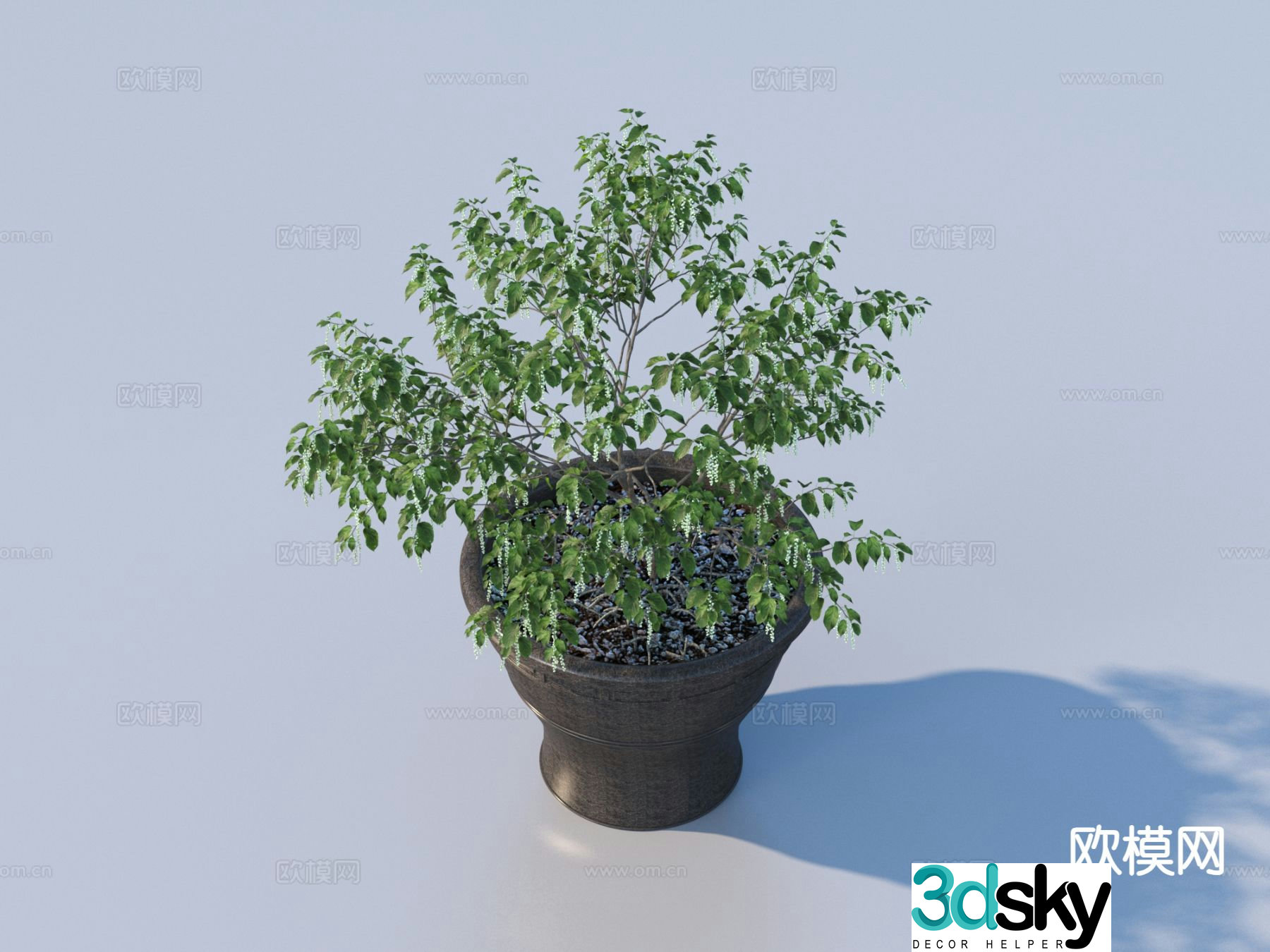 flowerpot potted plant green plant plant 3d model