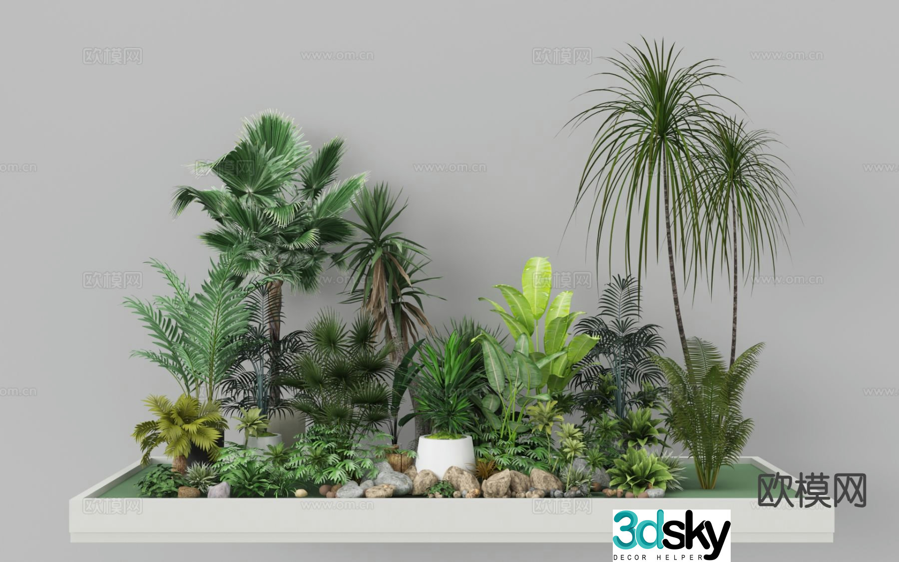 Plant landscaping ferns plant piles micro-terrain tropical plants 3D model
