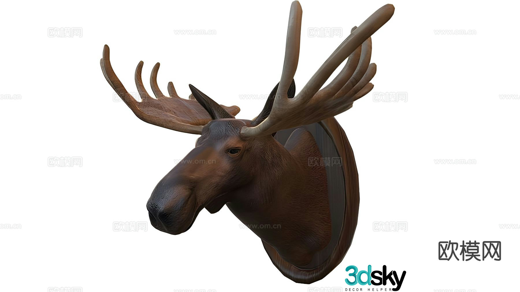 Moose head wall decoration taxidermy 3d model