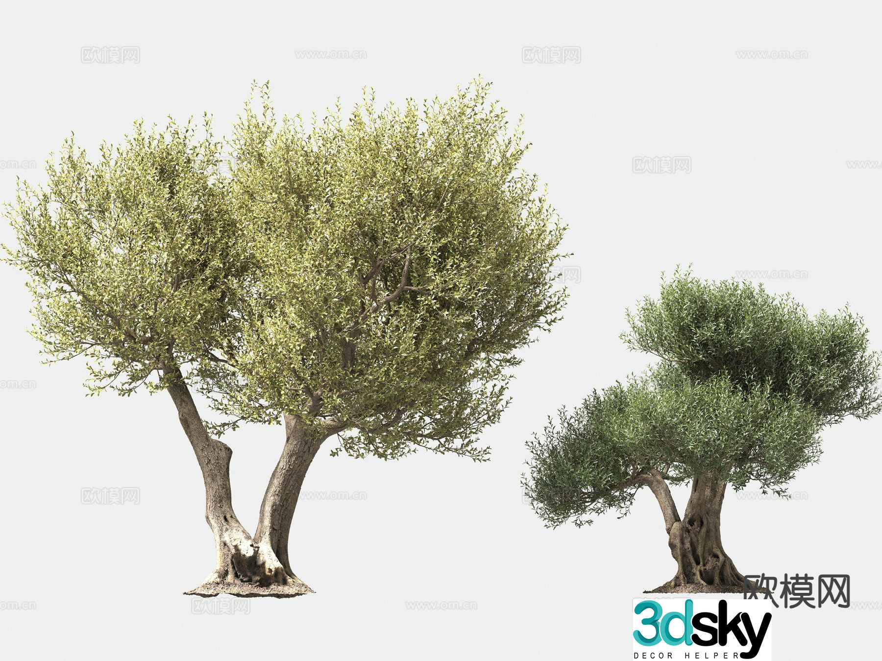 olive tree arbor trees lone tree 3d model