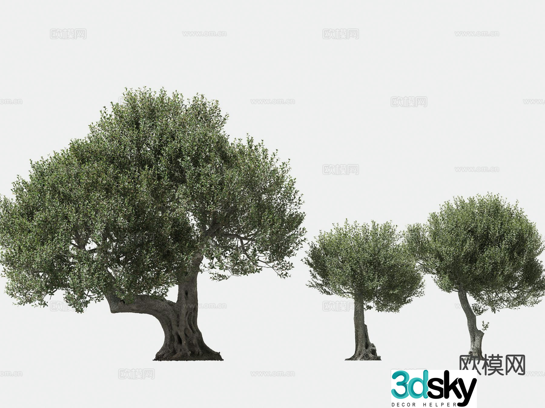 olive tree arbor trees lone tree 3d model