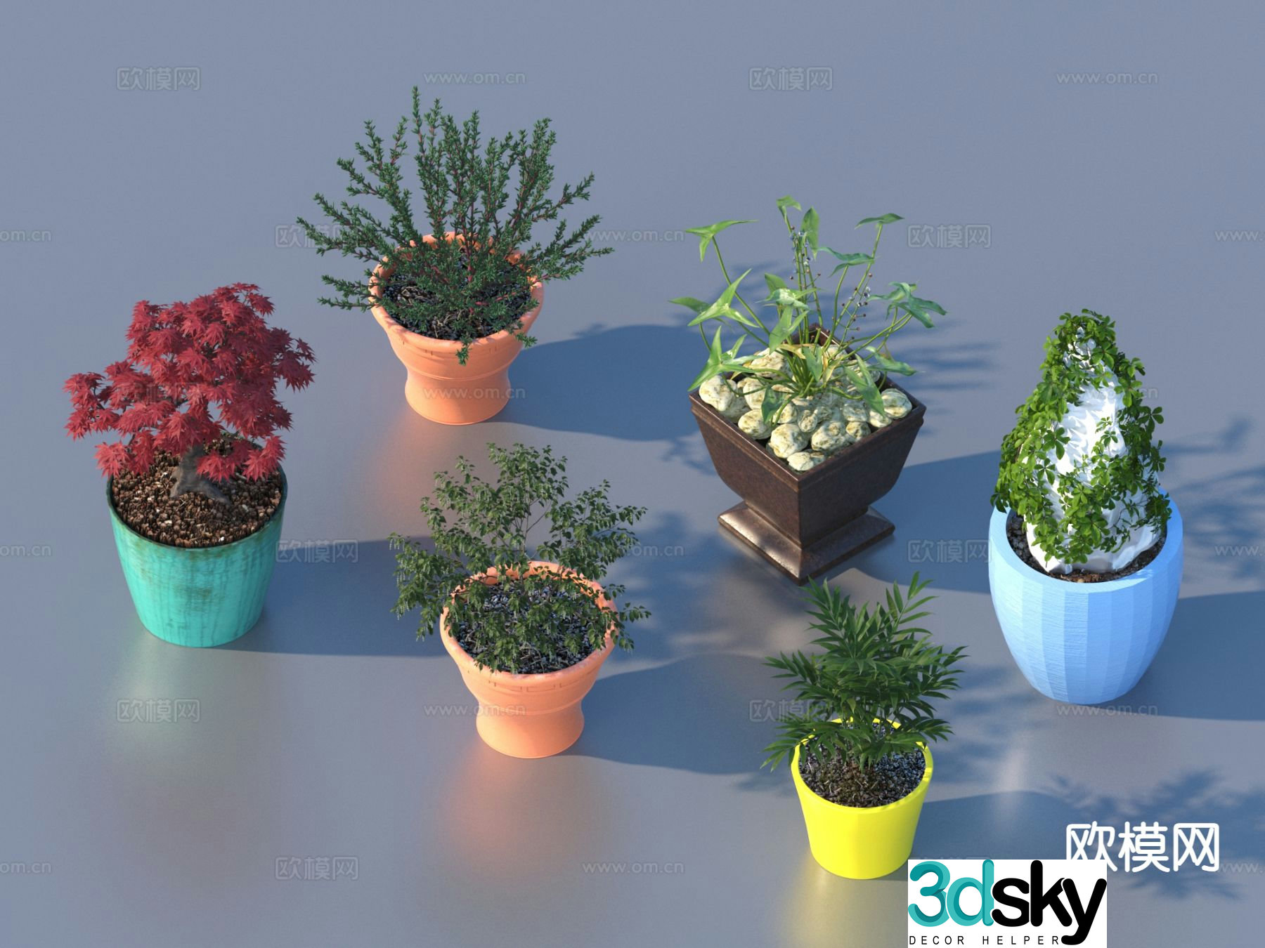 flower pot bonsai green plant plant 3d model