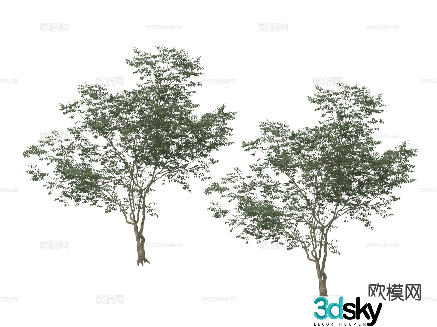 Landscape tree big tree arbor 3d model