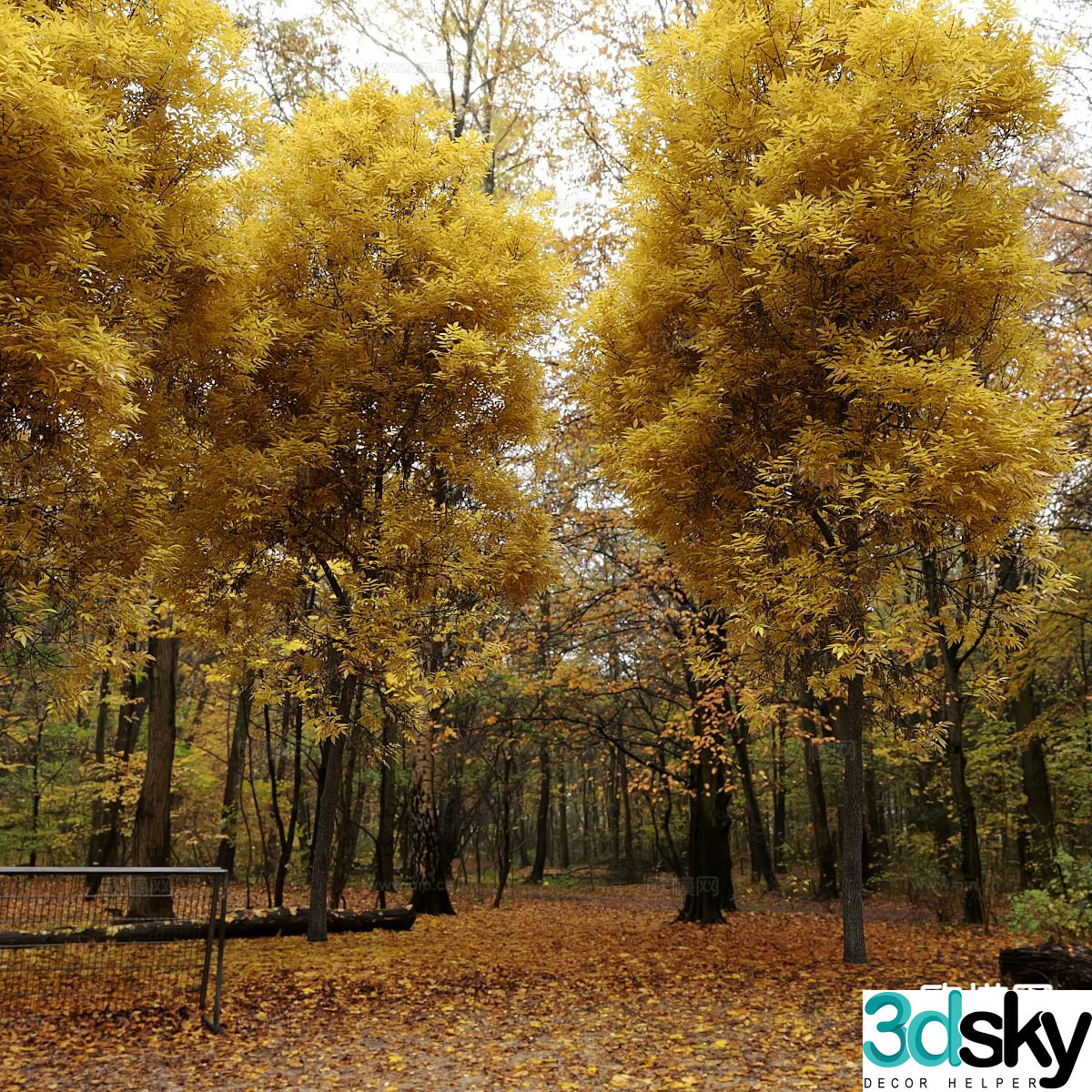 garden landscape forest 3d model