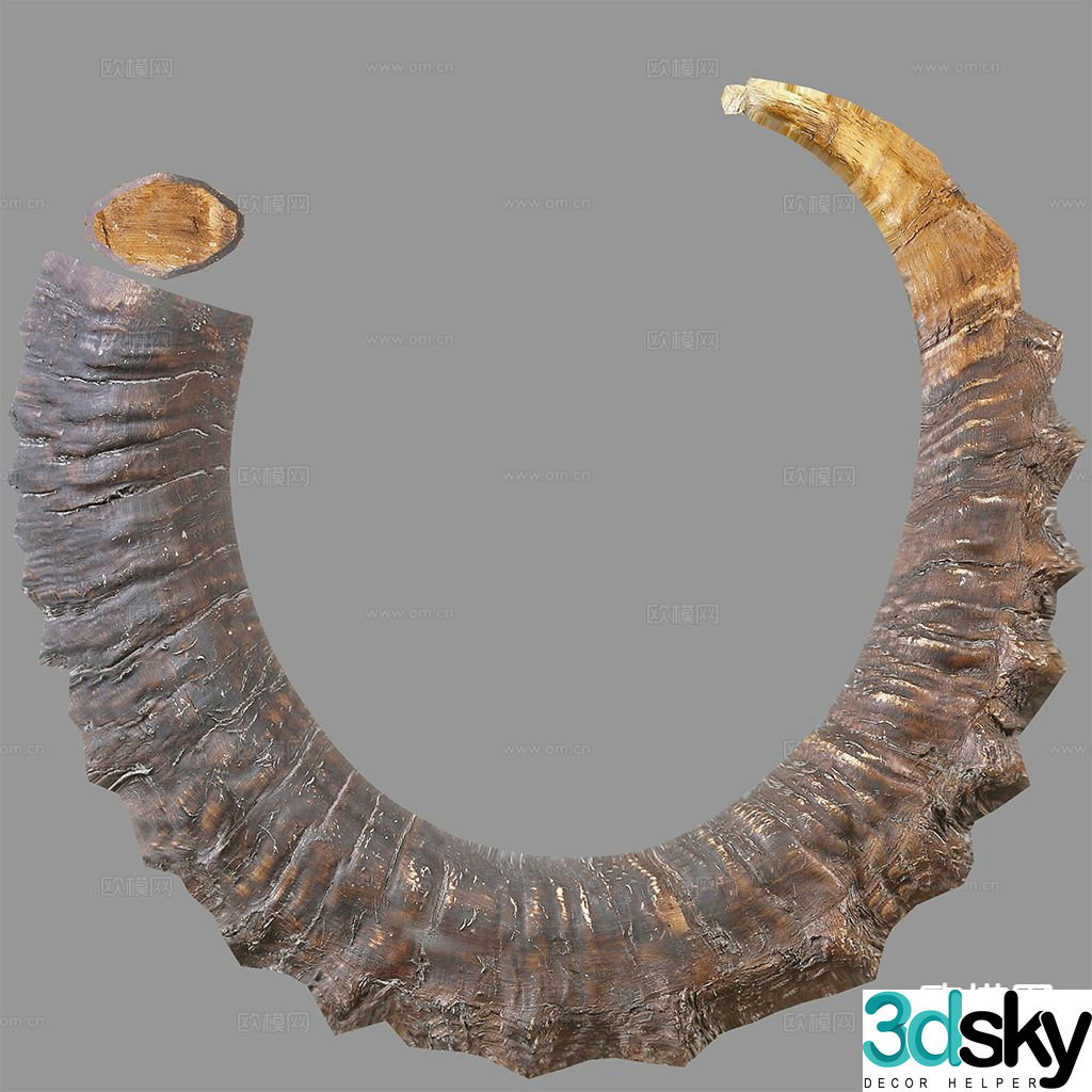 horn wood ornament 3d model