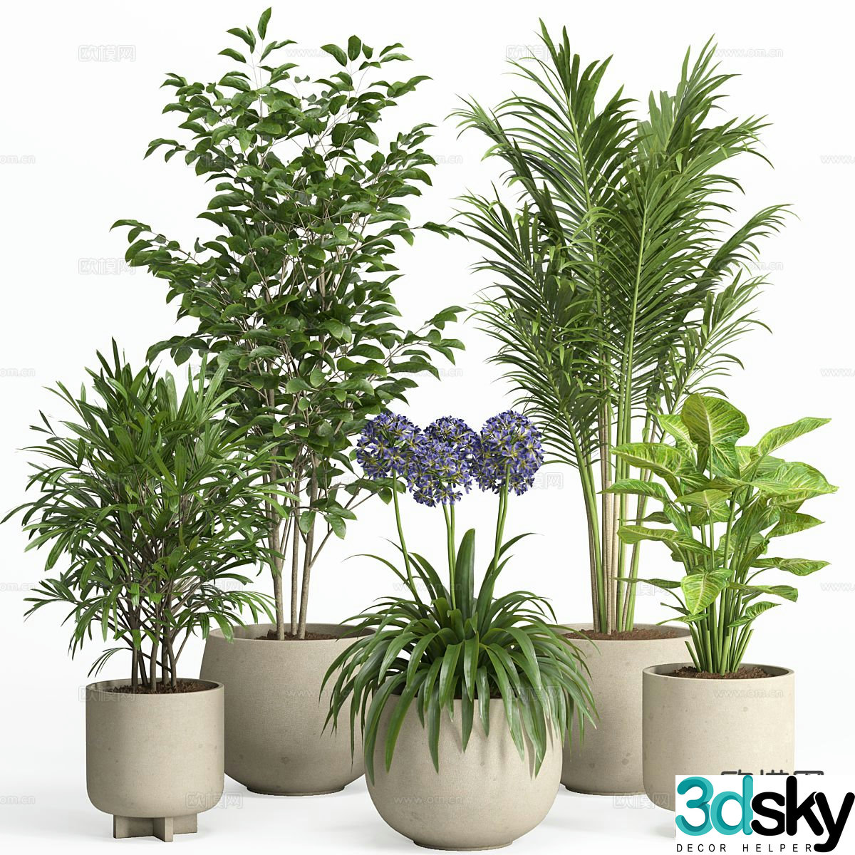 plant pot green plant flower pot 3d model