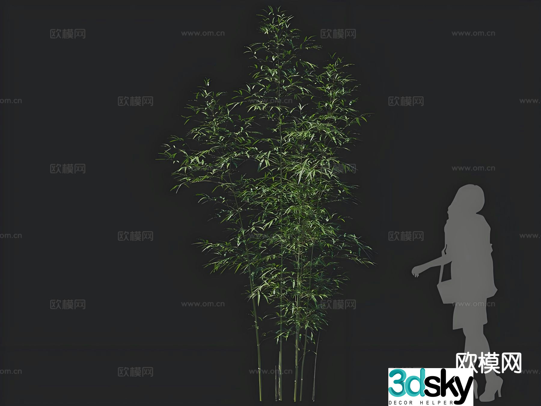 bamboo landscape bamboo bamboo 3d model