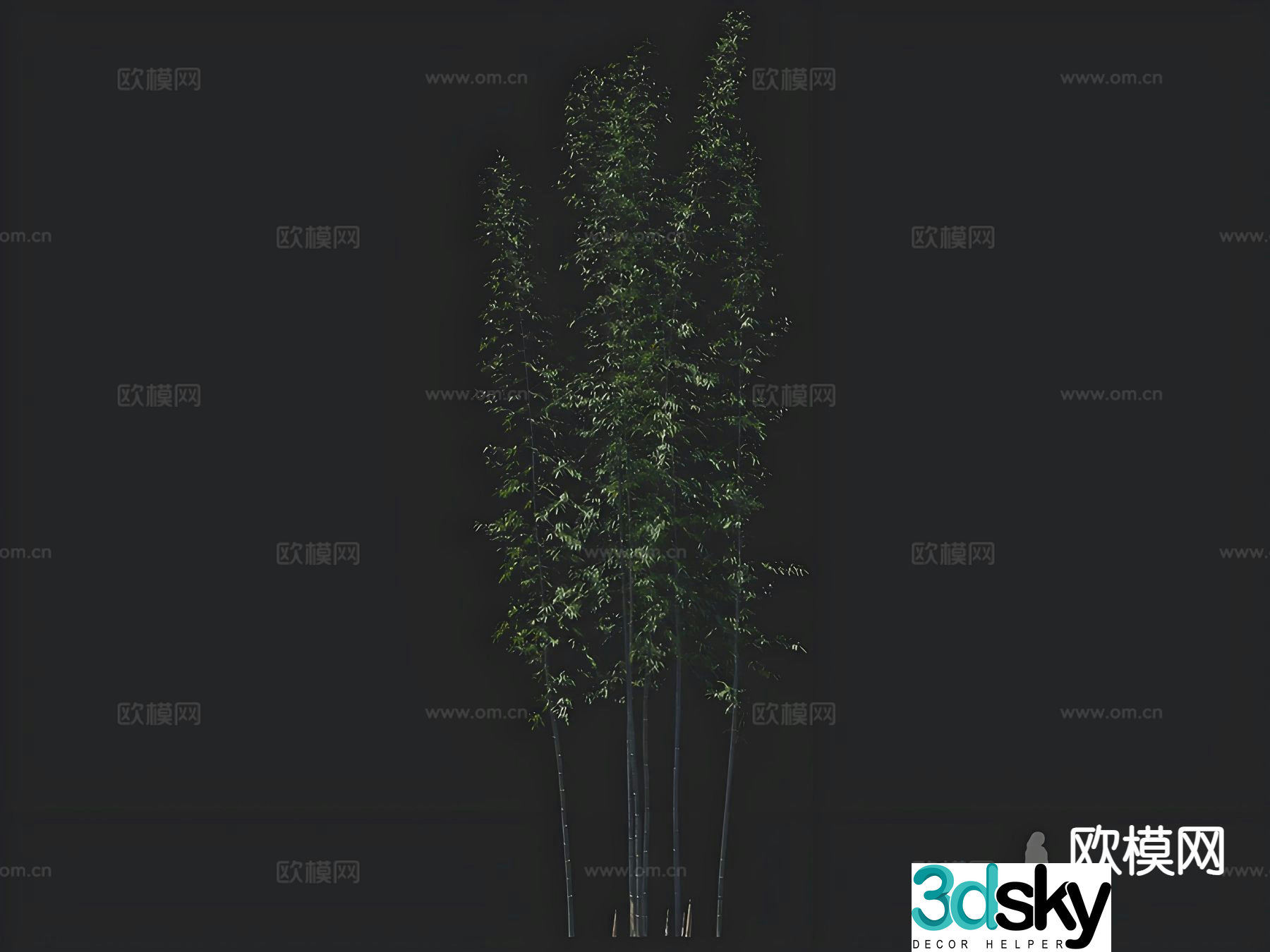 bamboo landscape bamboo bamboo 3d model