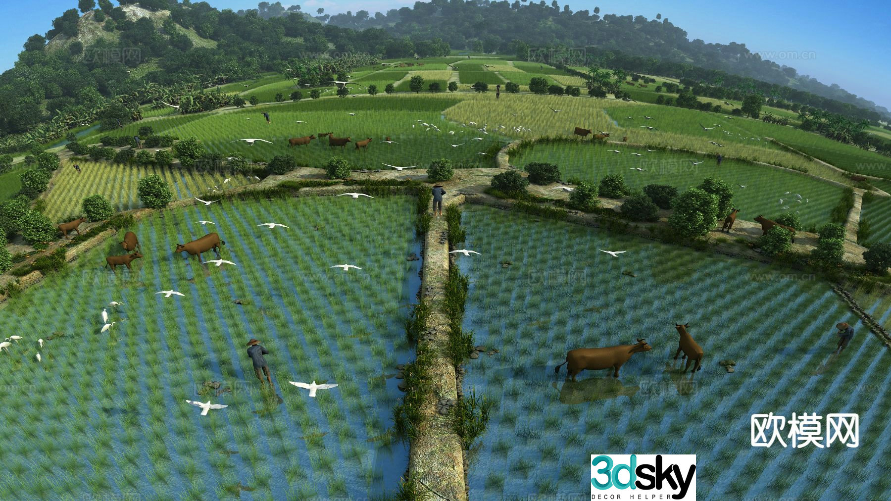 Chinese farmland scene 3D model
