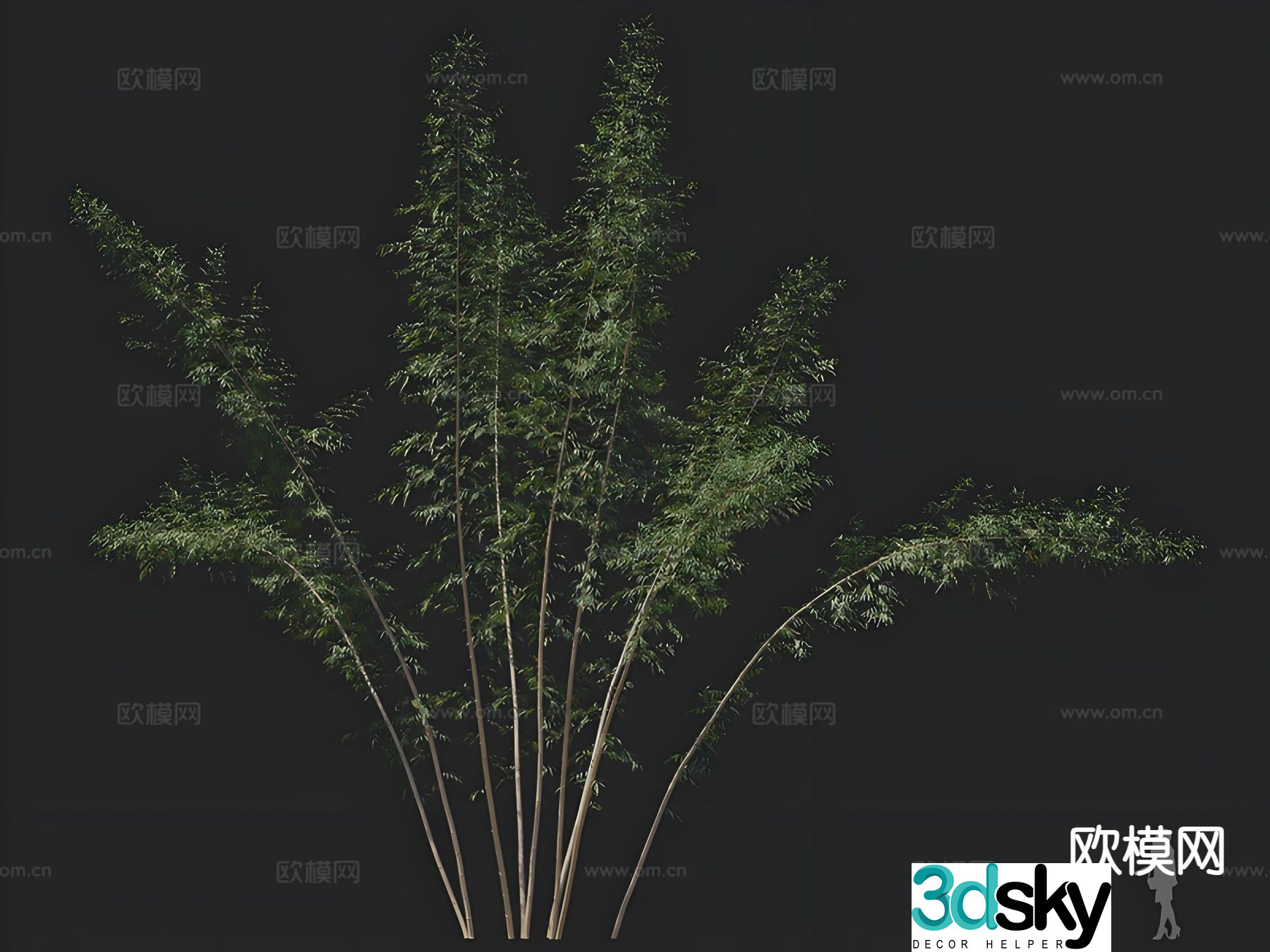 bamboo landscape bamboo bamboo 3d model