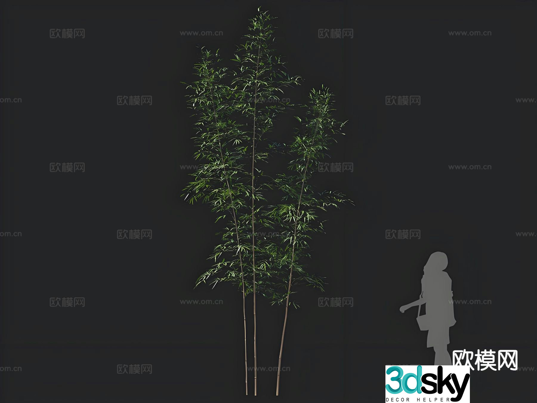 bamboo landscape bamboo bamboo 3d model