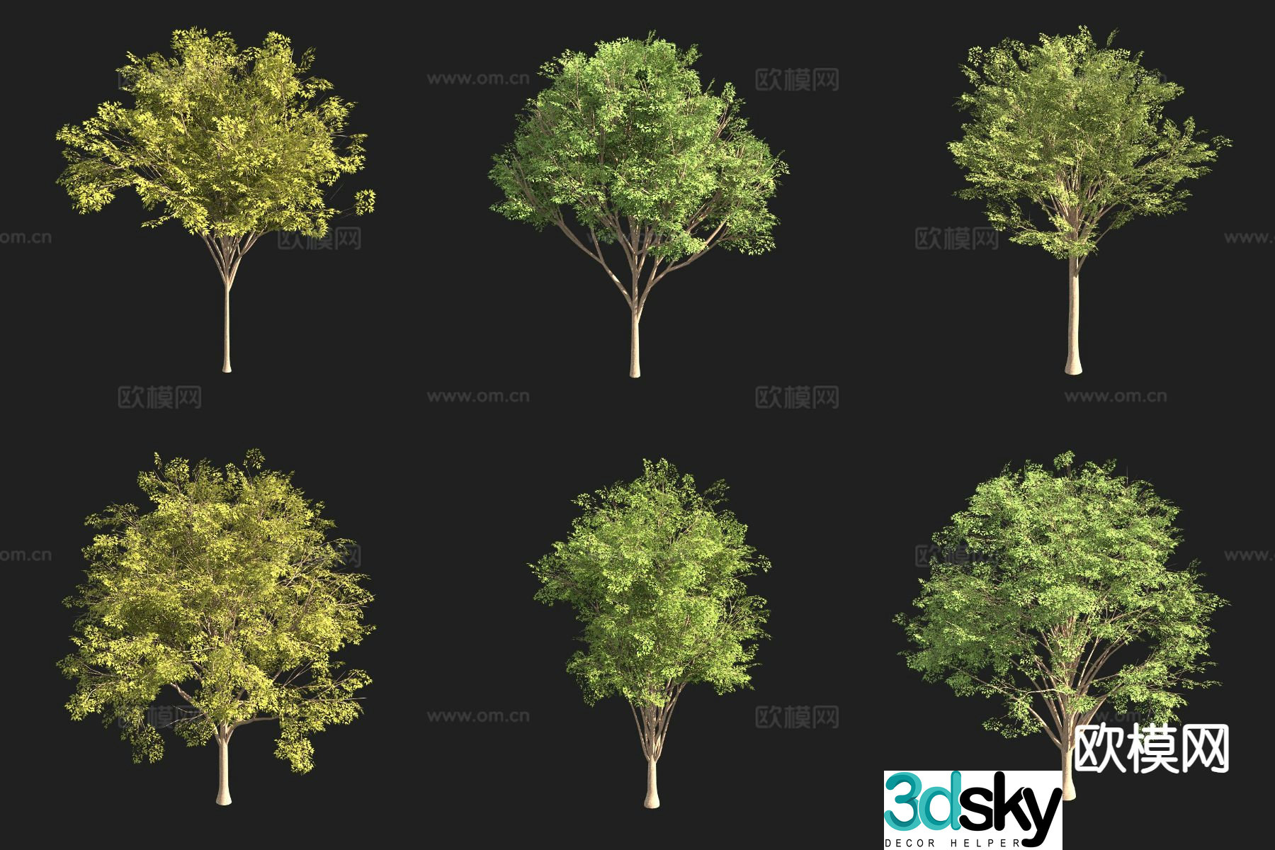 beech tree landscape tree 3d model