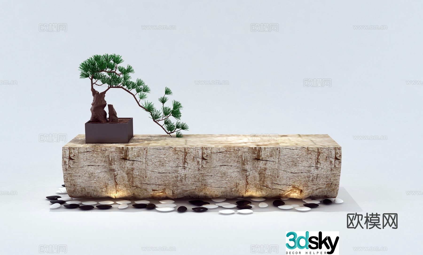 Chinese old wood pine sketch 3d model
