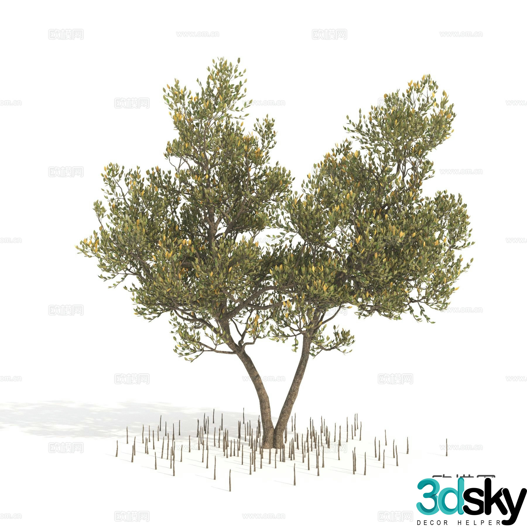 plant green plant shrub dwarf tree landscape tree 3d model
