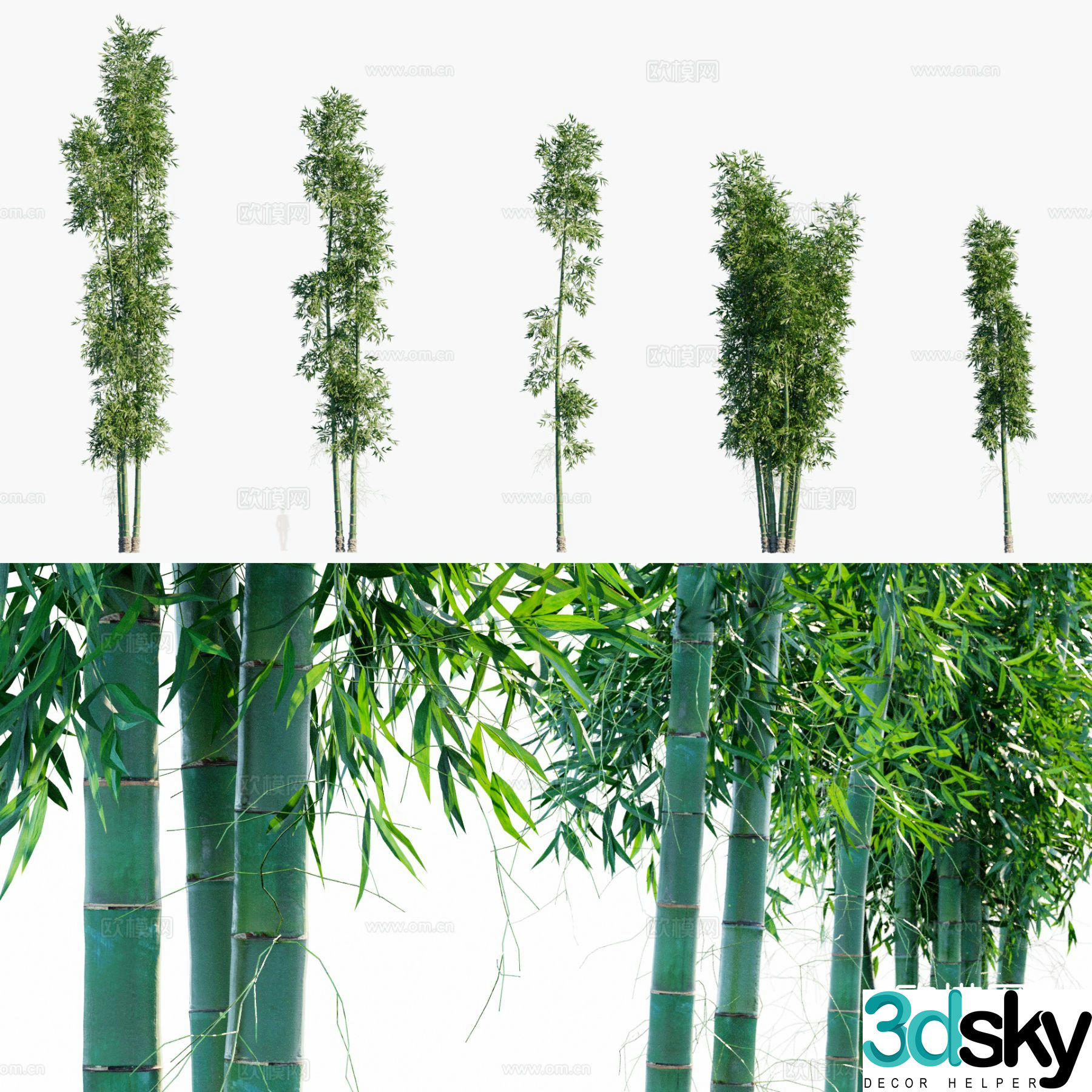 Bamboo dragon bamboo hemp bamboo mottled bamboo green bamboo 3d model