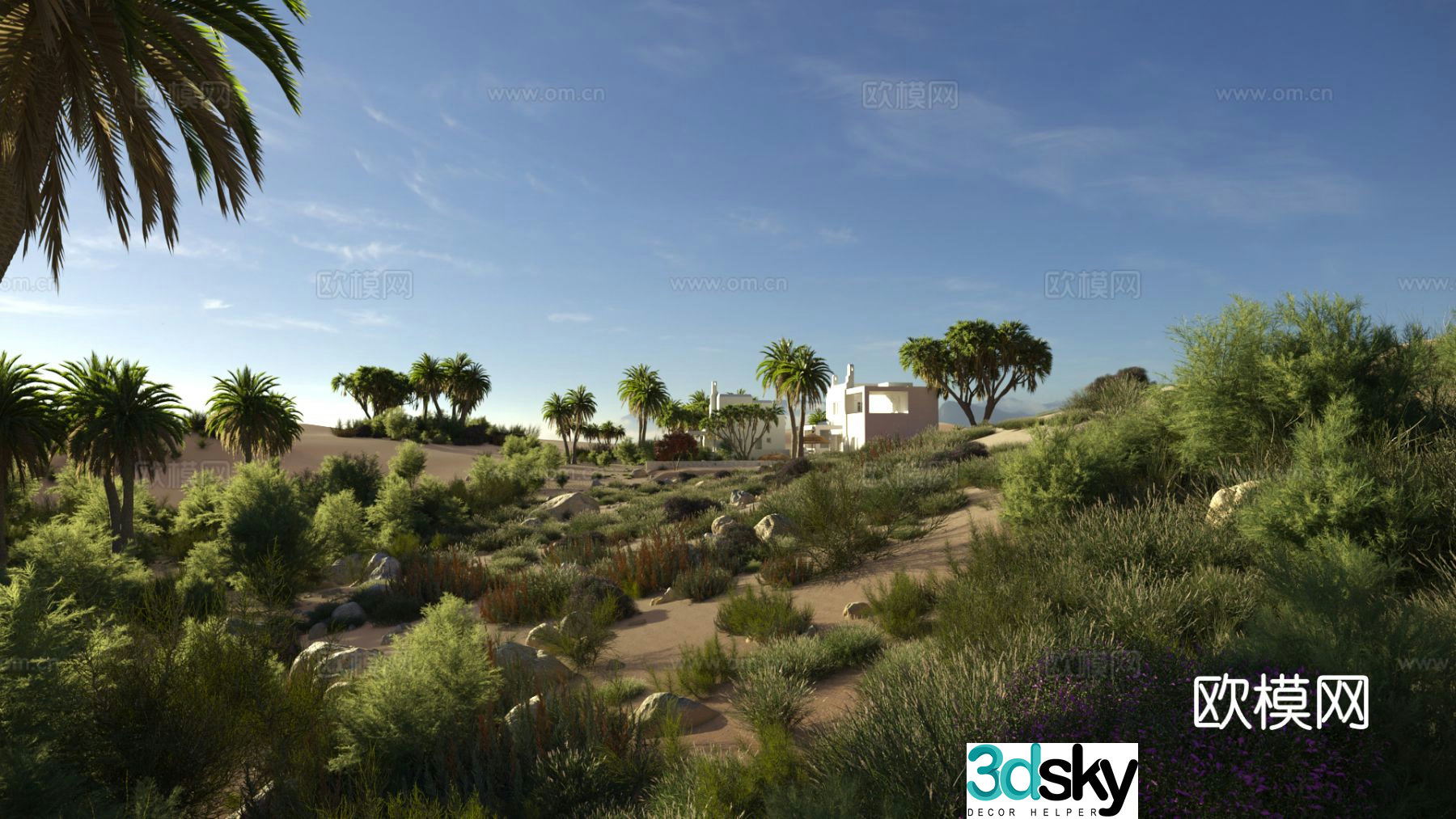 Desert scene tropical plants 3d model