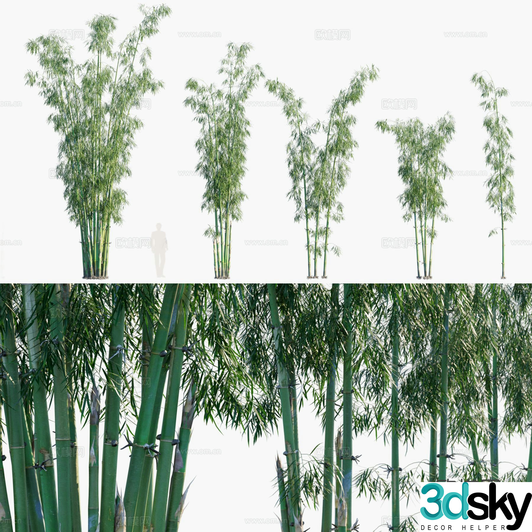 Bamboo green bamboo green bamboo purple spotted bamboo 3d model