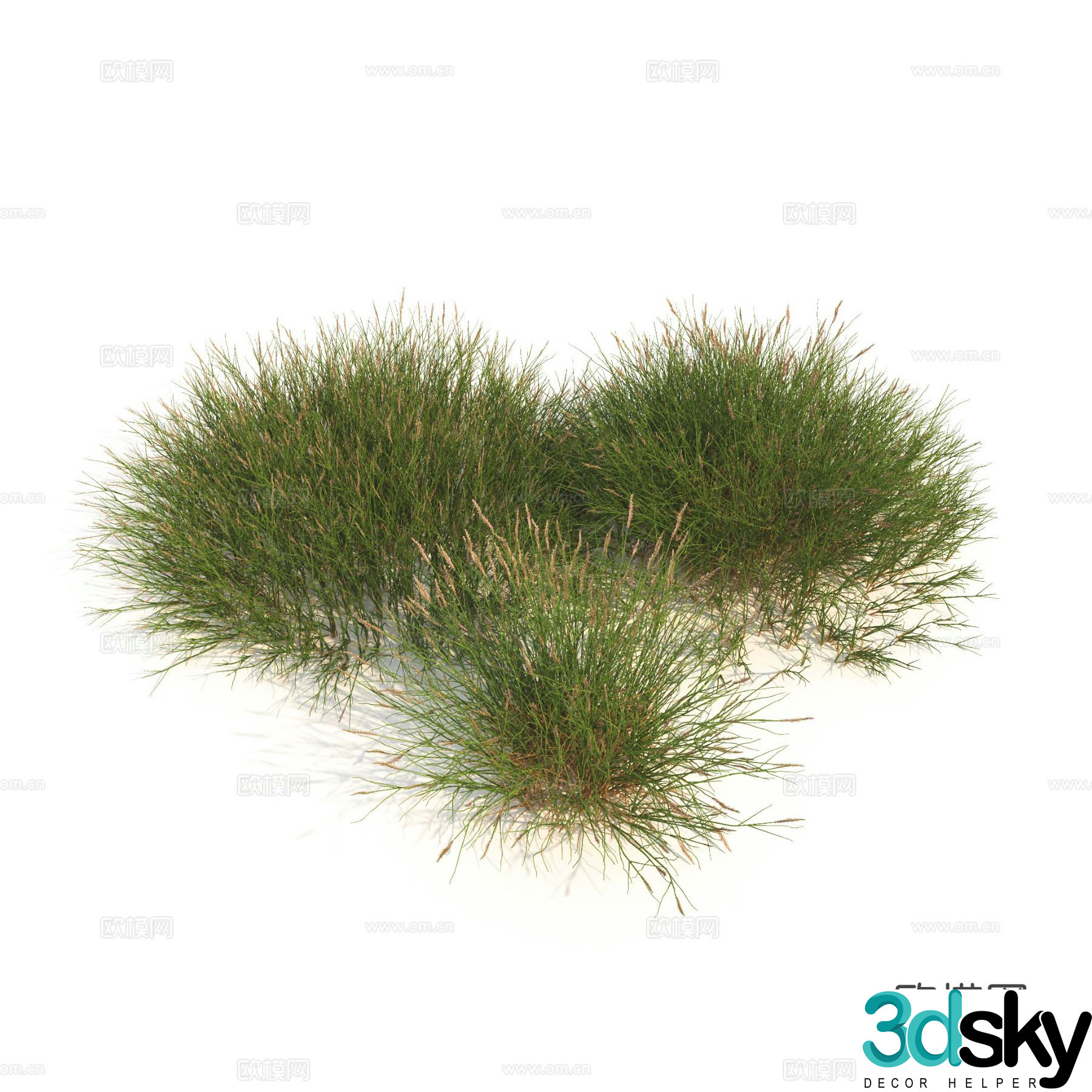 Plants Green Plants Shrubs Flowers Thatch 3d model