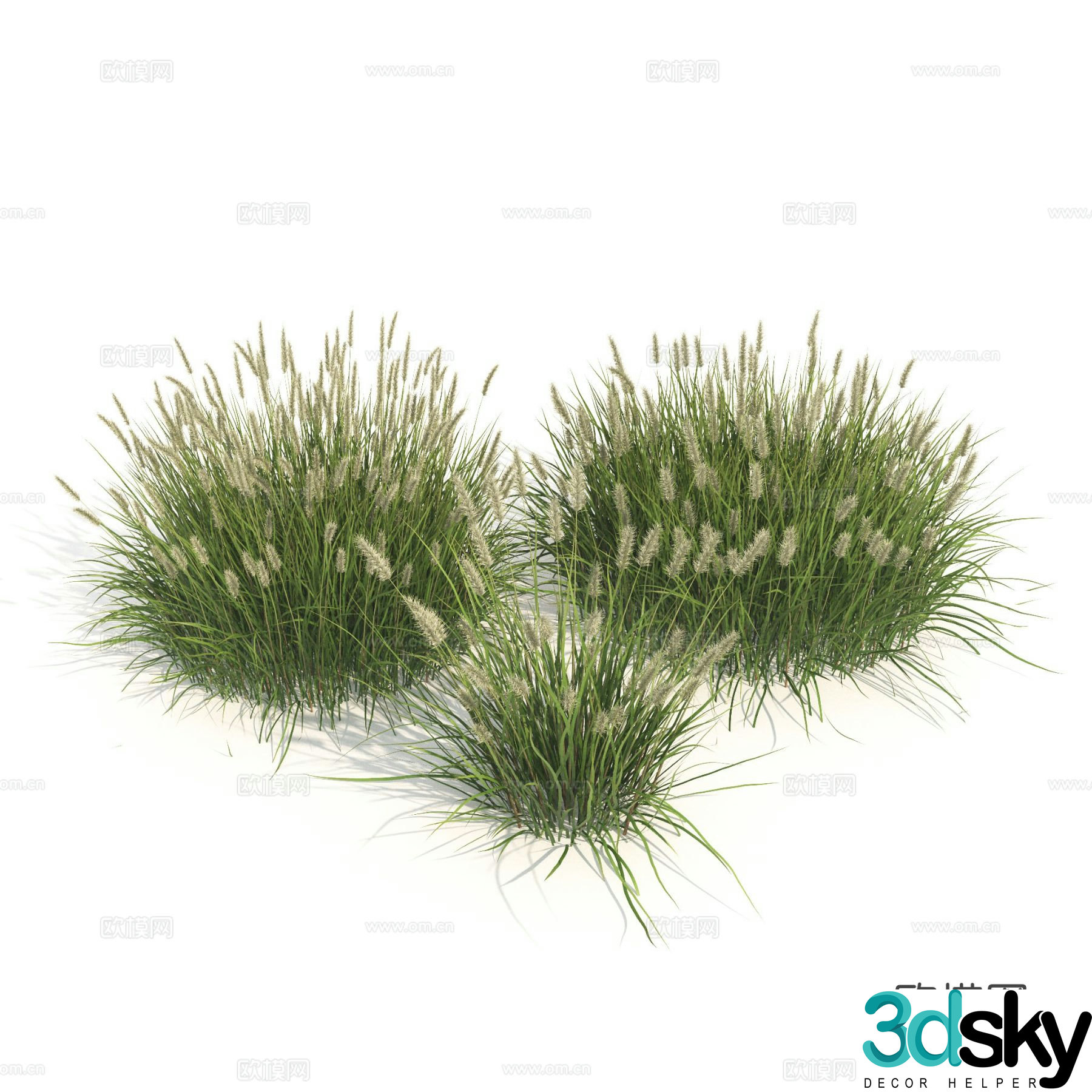 Plants Green Plants Shrubs Flowers Thatch 3d model