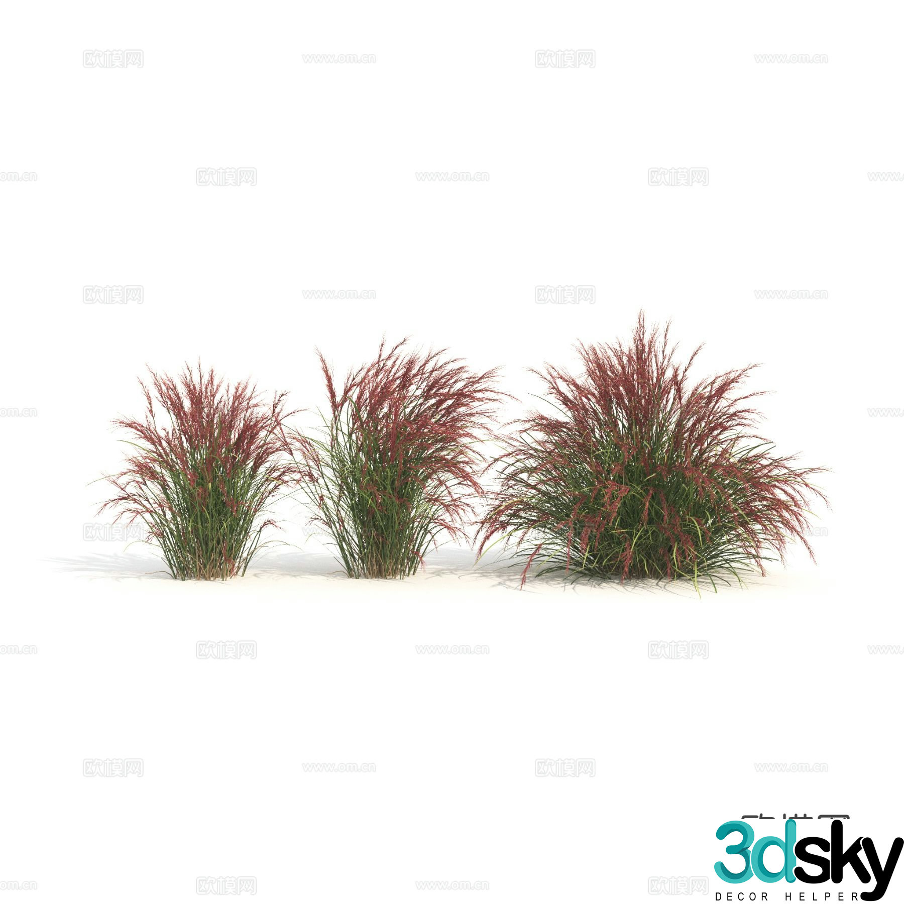 Plants Green Plants Shrubs Flowers Thatch 3d model