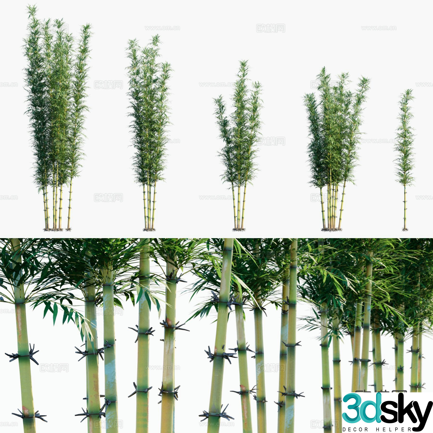 Bamboo Bamboo Zhusgui Bamboo 3d model