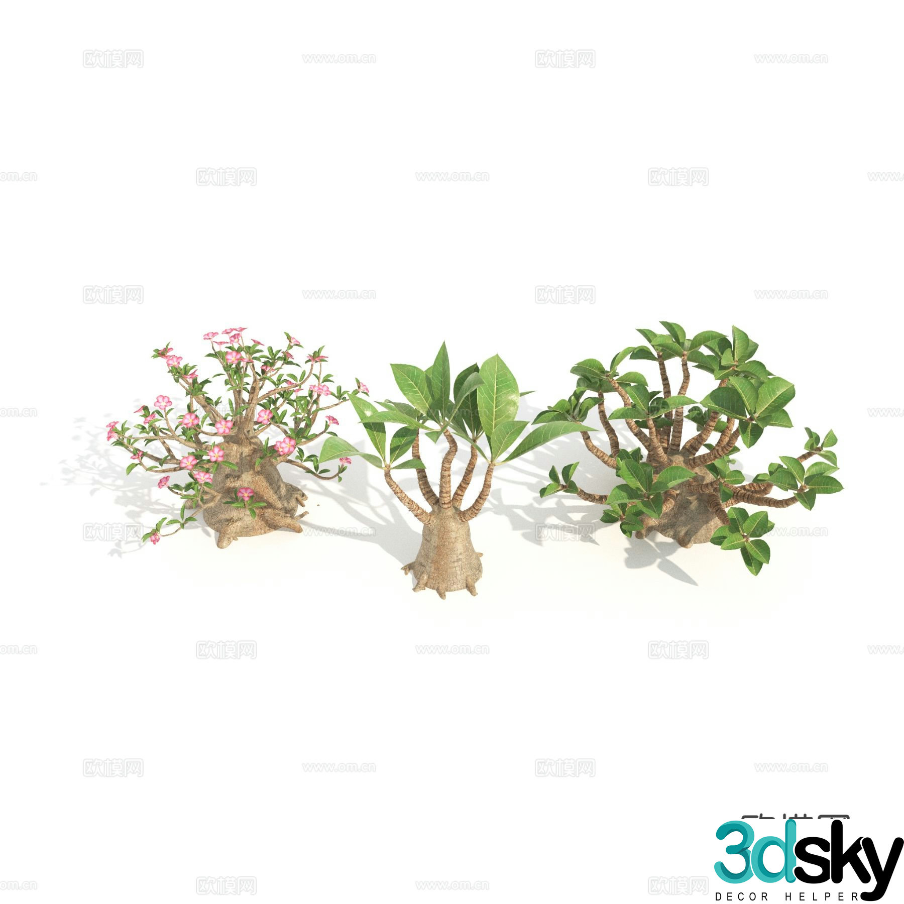 Plants Green Plants Shrubs Flowers 3d model