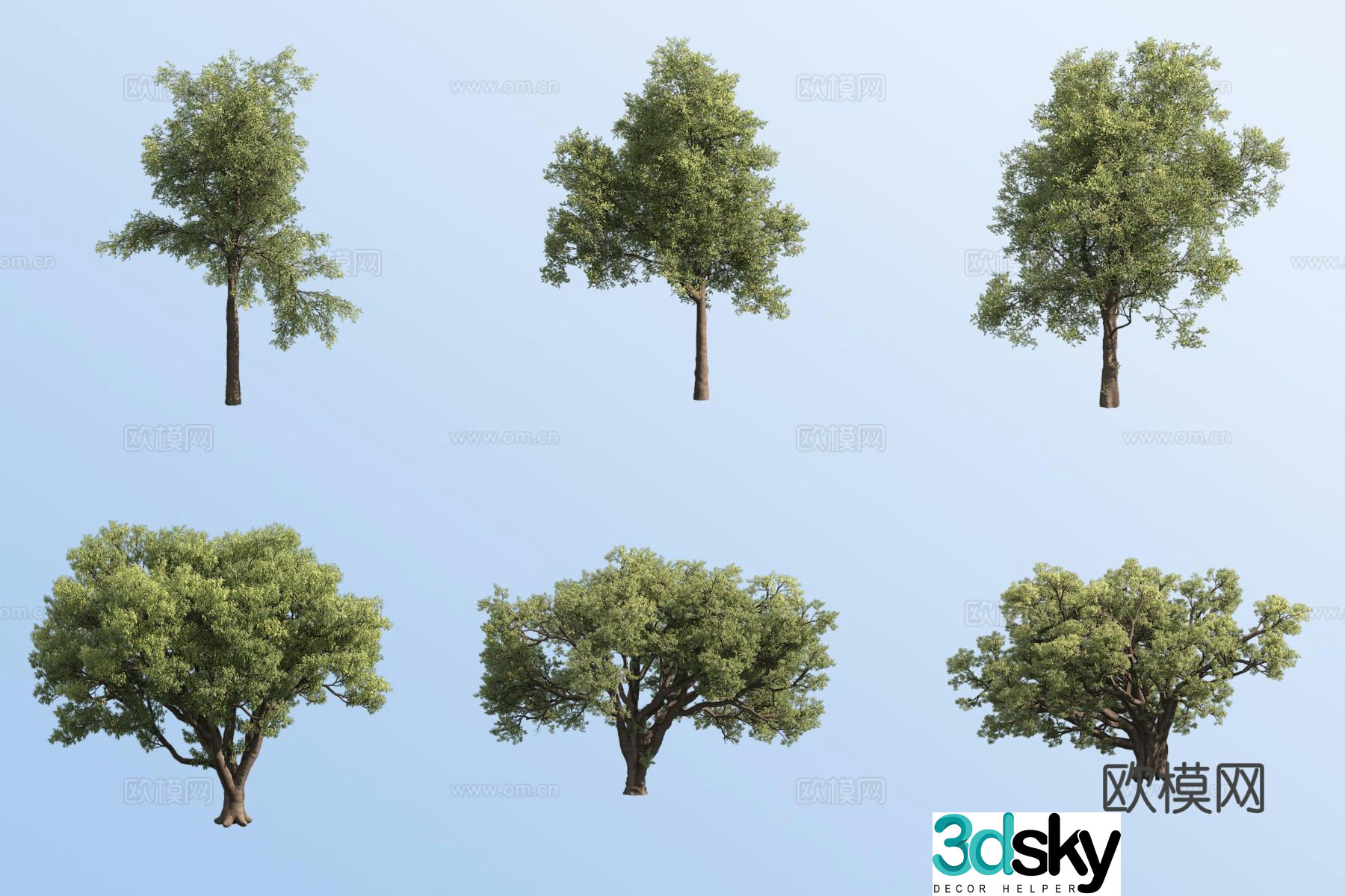 cork oak tree landscape tree 3d model