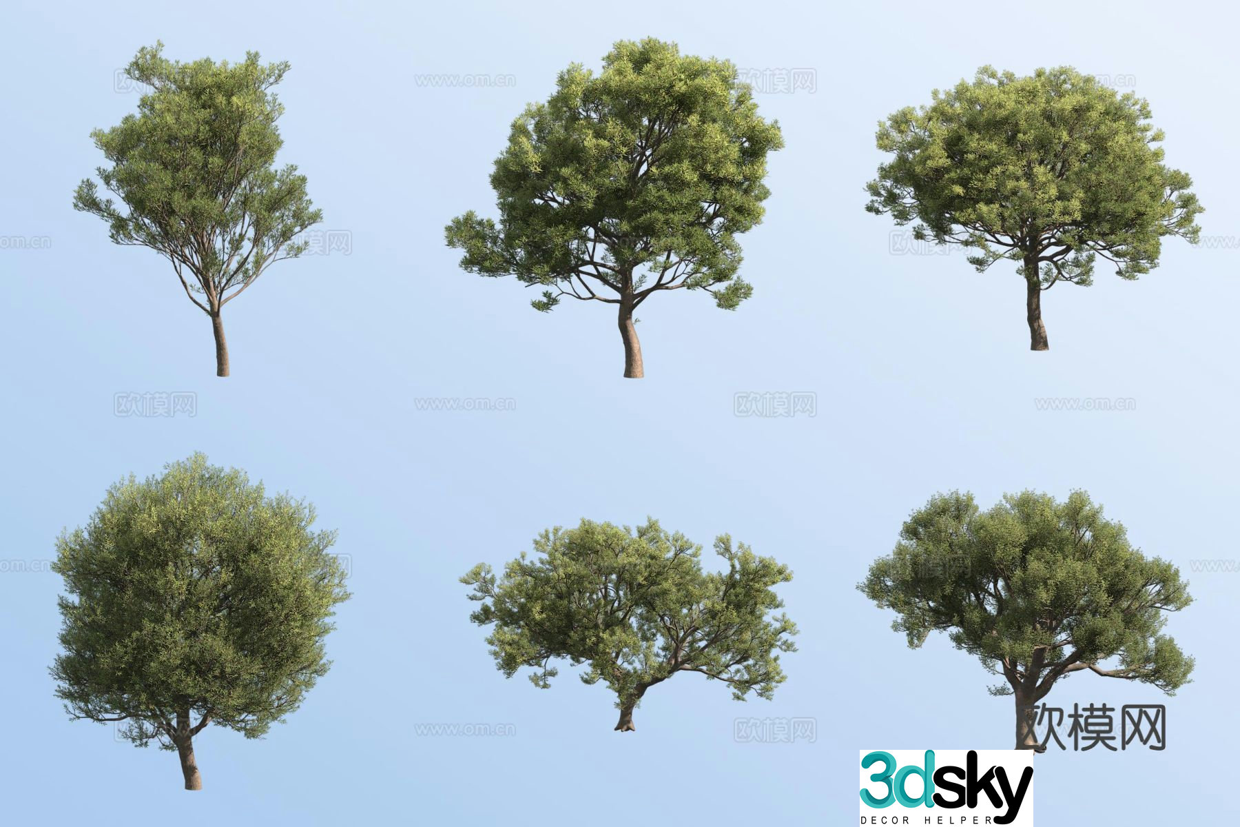 Holly oak tree landscape tree 3d model