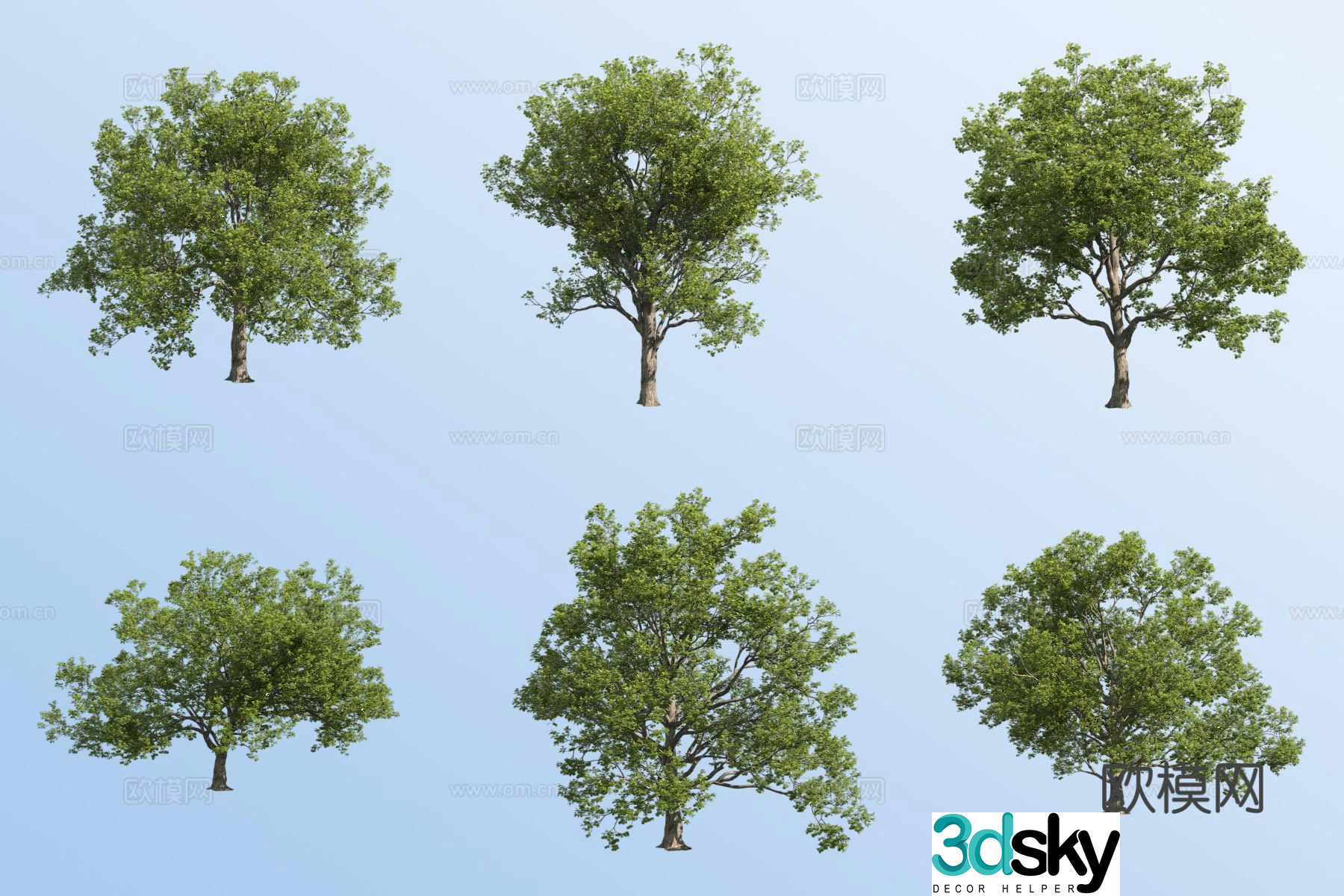 Summer oak tree 3d model