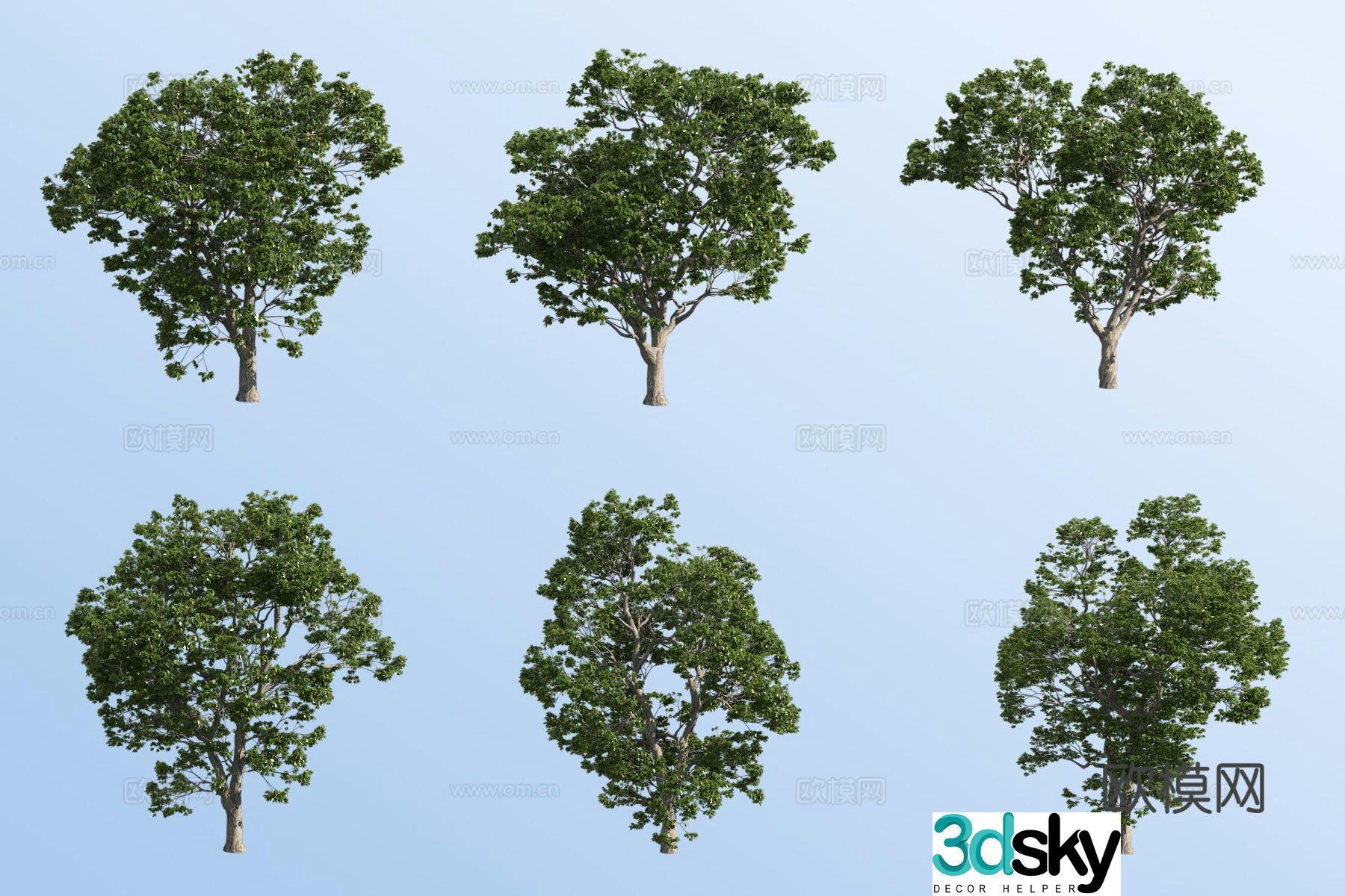 European chestnut tree landscape tree 3d model