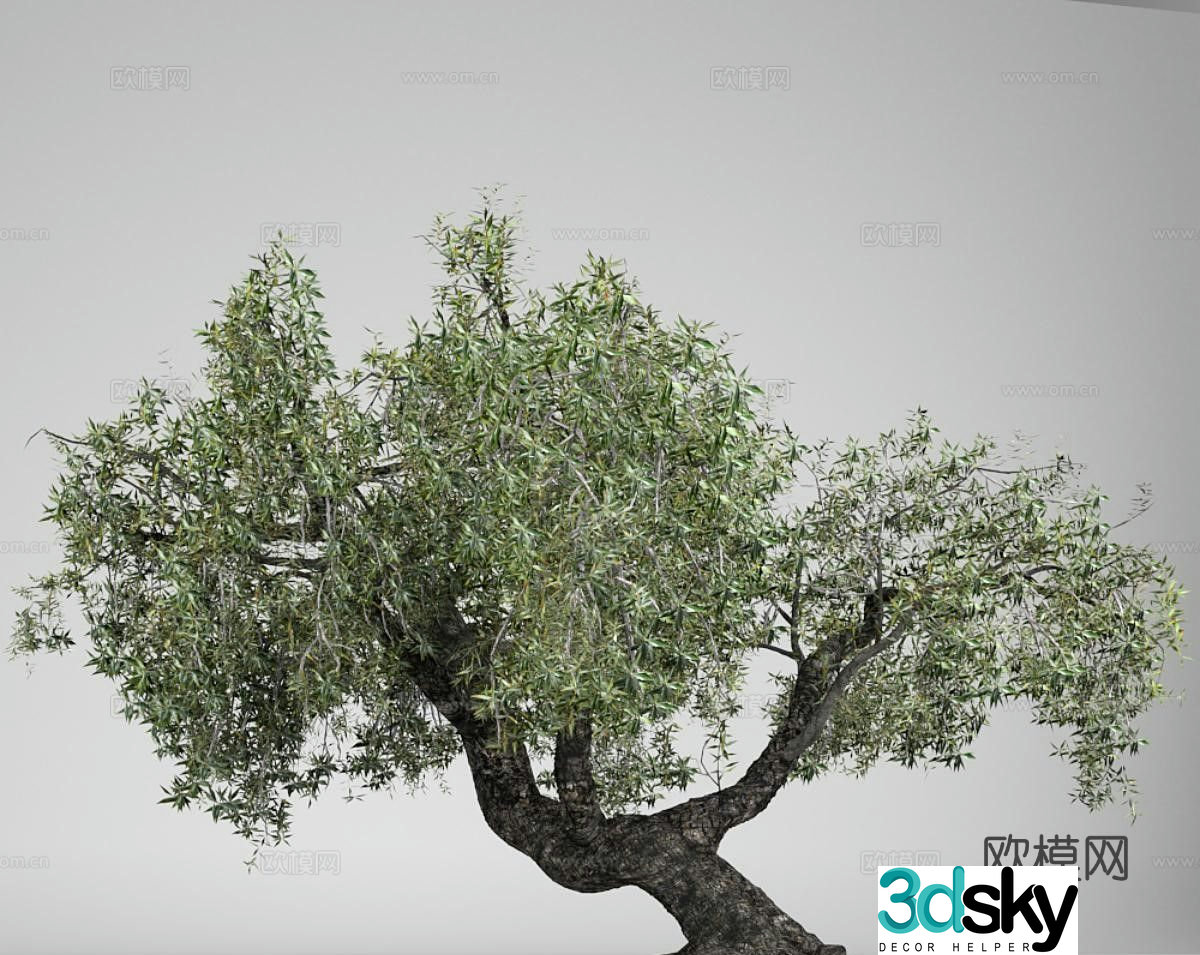 olive tree landscape tree ancient tree 3d model