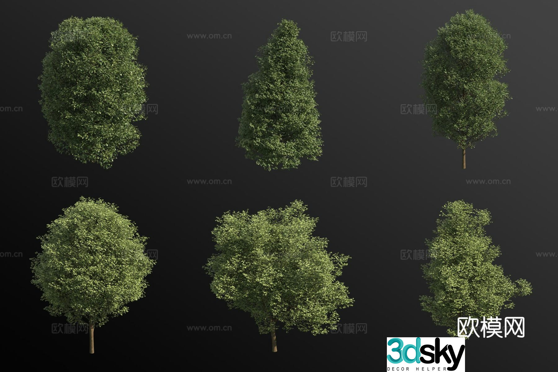 Birch leaf hornbeam shrub 3d model