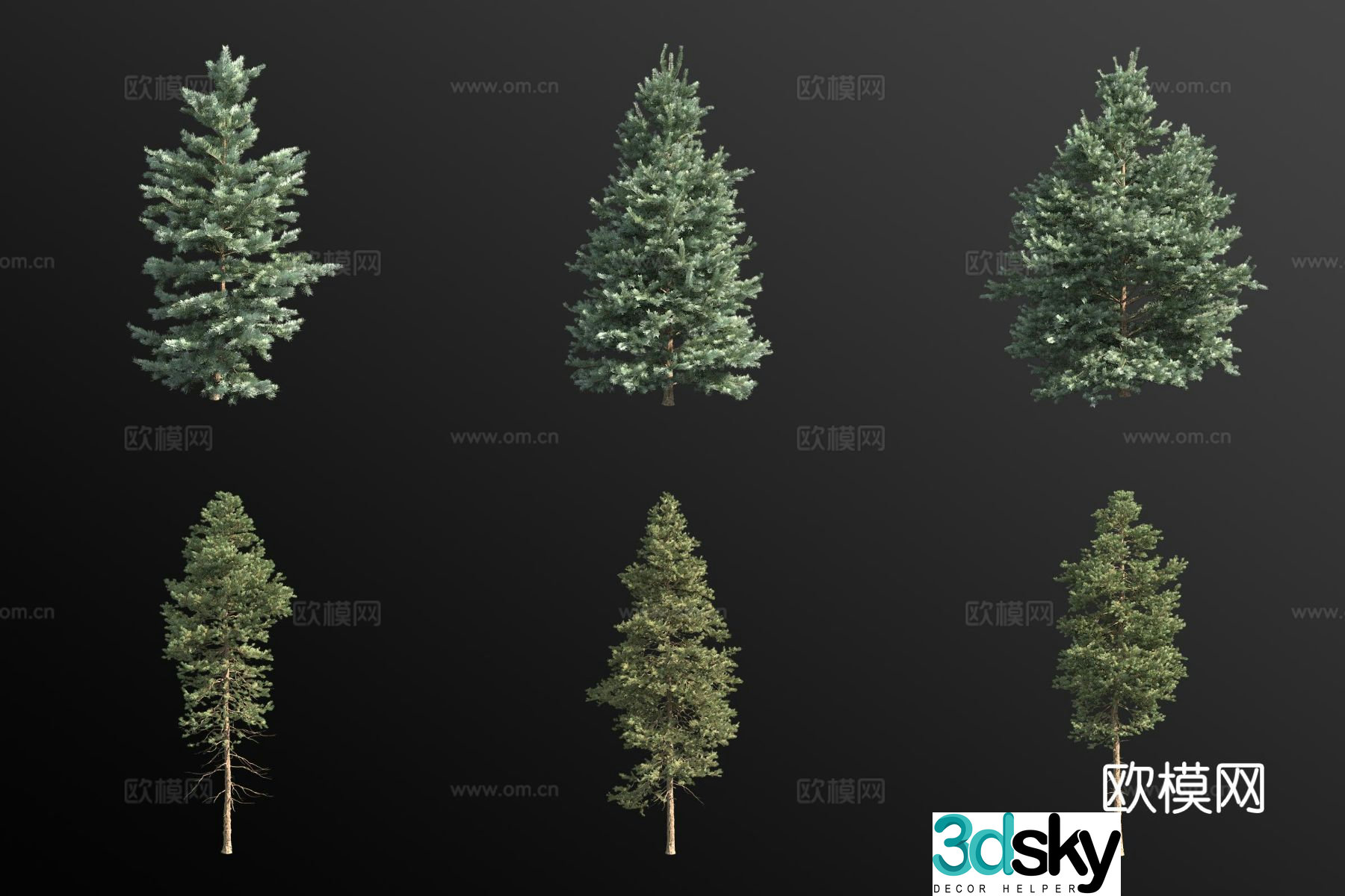 white fir tree landscape tree 3d model