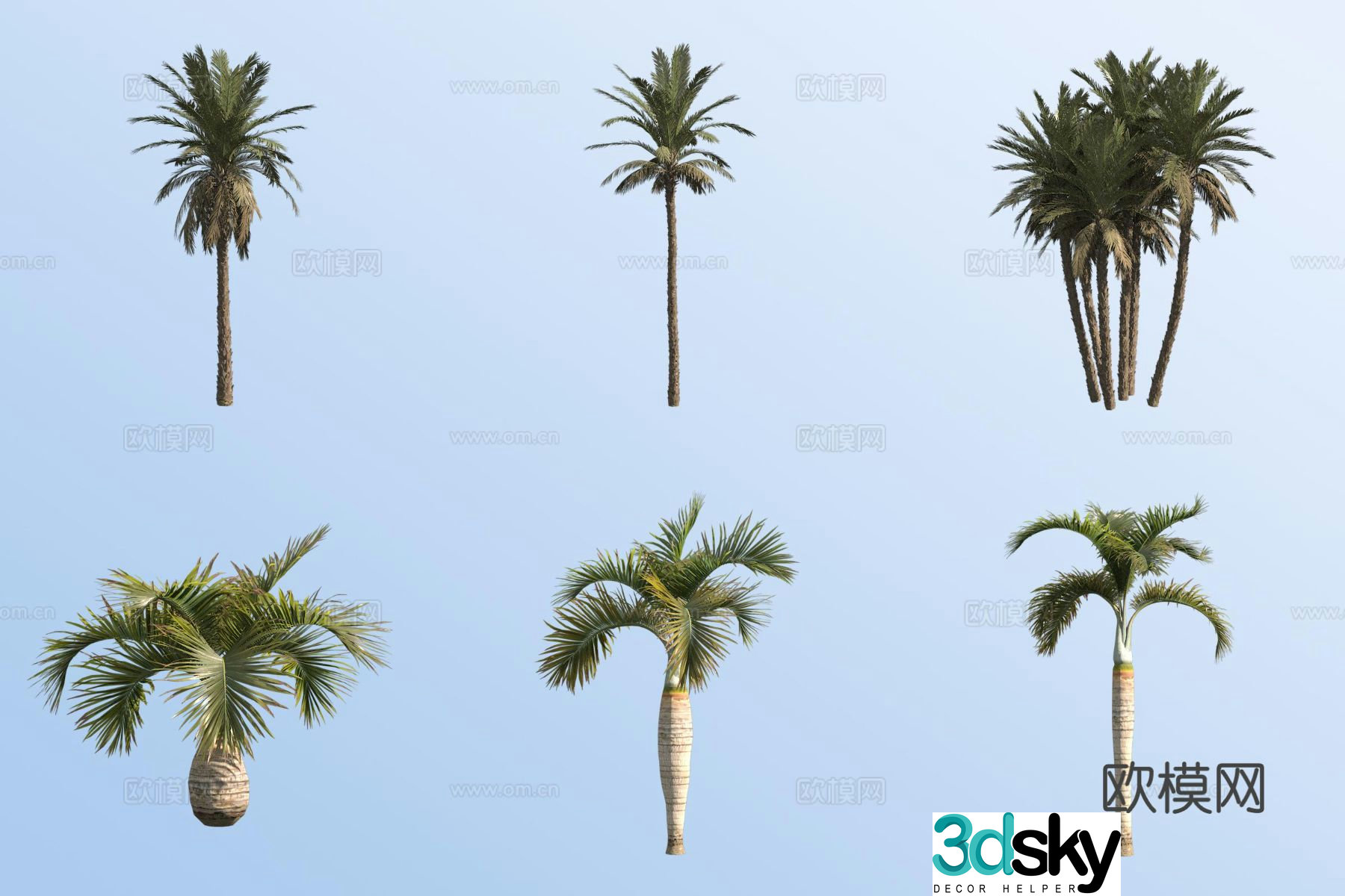 Date palm tree Wine bottle coconut tropical tree 3d model