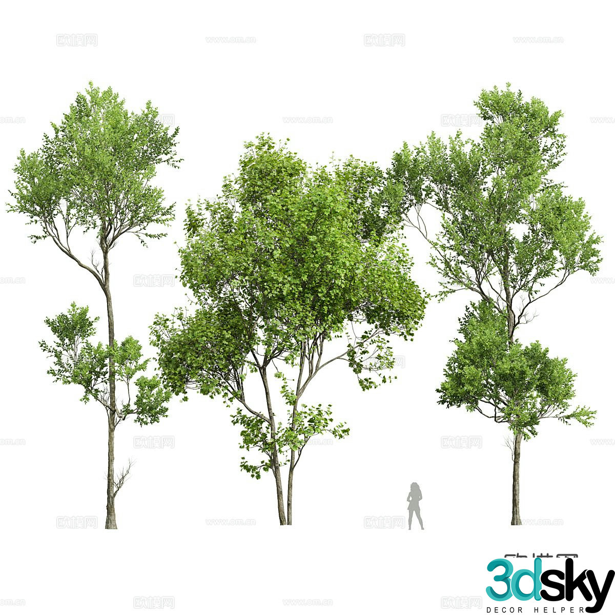 Spring tree 3d model