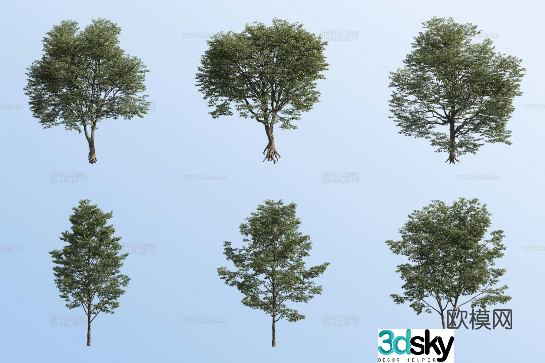 small tree landscape tree street tree 3d model