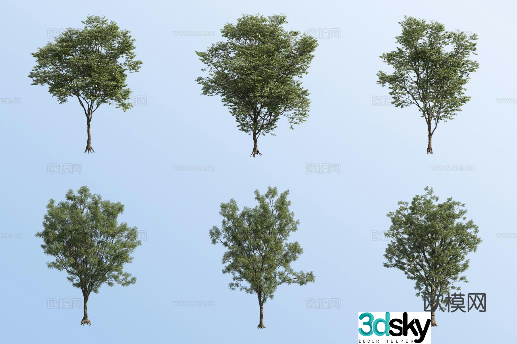 Small tree landscape tree green tree street tree 3D model
