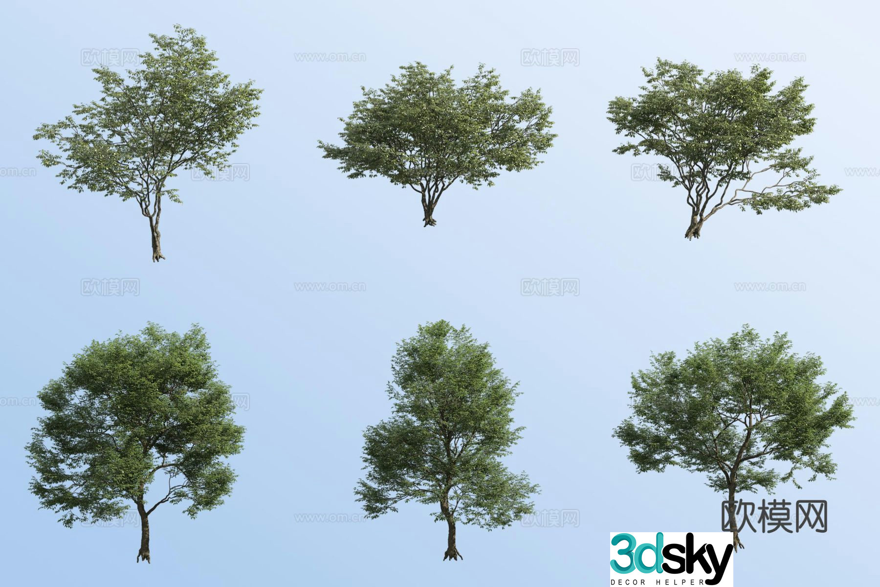 small tree landscape tree street tree 3d model
