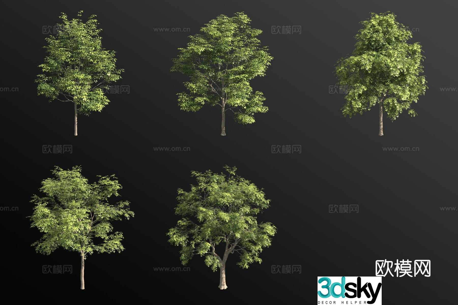 European ash ash tree landscape tree large tree 3d model
