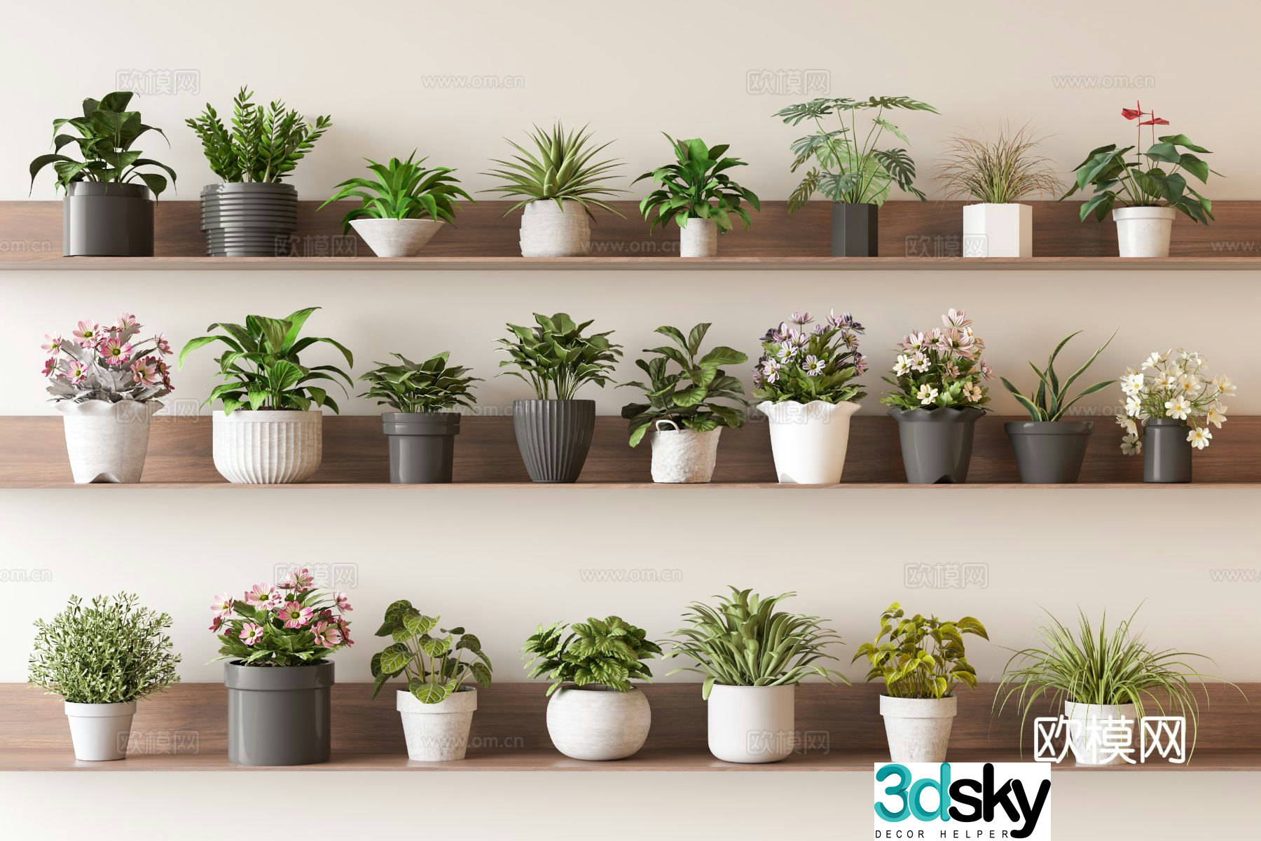 Small potted plant on desktop small green plant 3D model