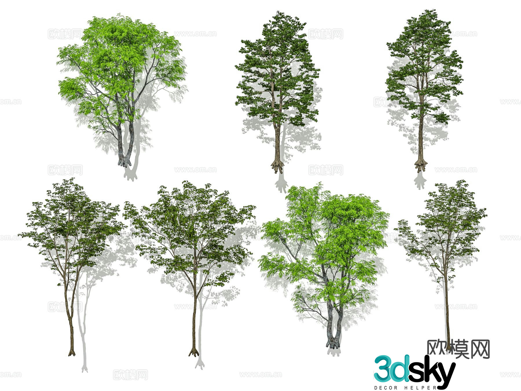 Modern tree Street tree Landscape tree Garden tree Solitary tree Cluster tree 3D model