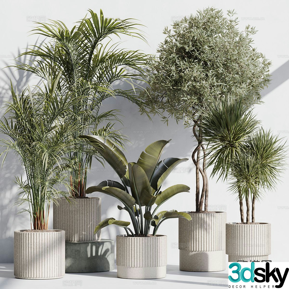 Green plant potted 3D model