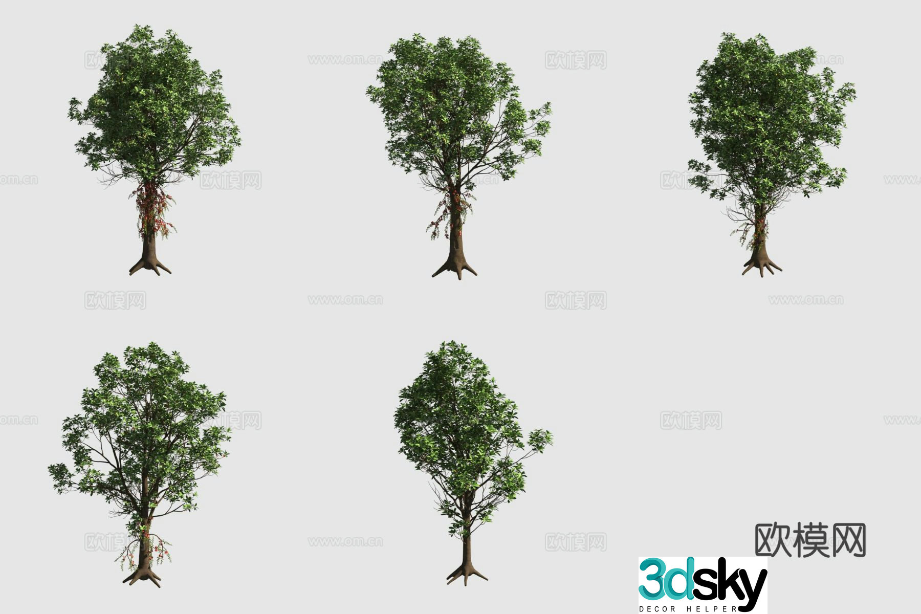 Cannonball Tree Cannonball Flower Street Tree 3D Model