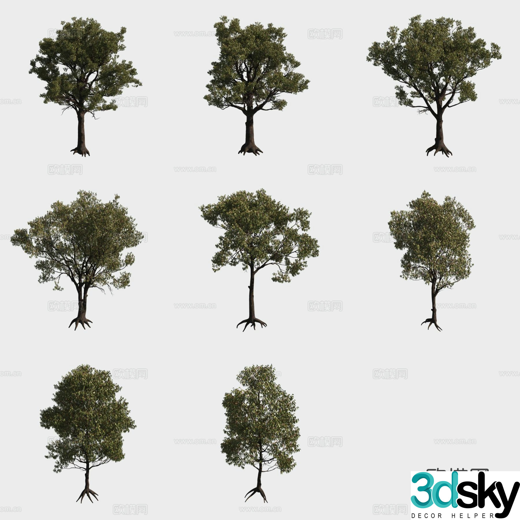 Red iron wood eucalyptus tree forest 3d model