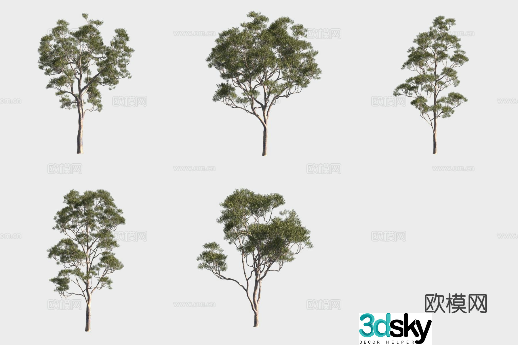 Willow eucalyptus small trees forest 3d model