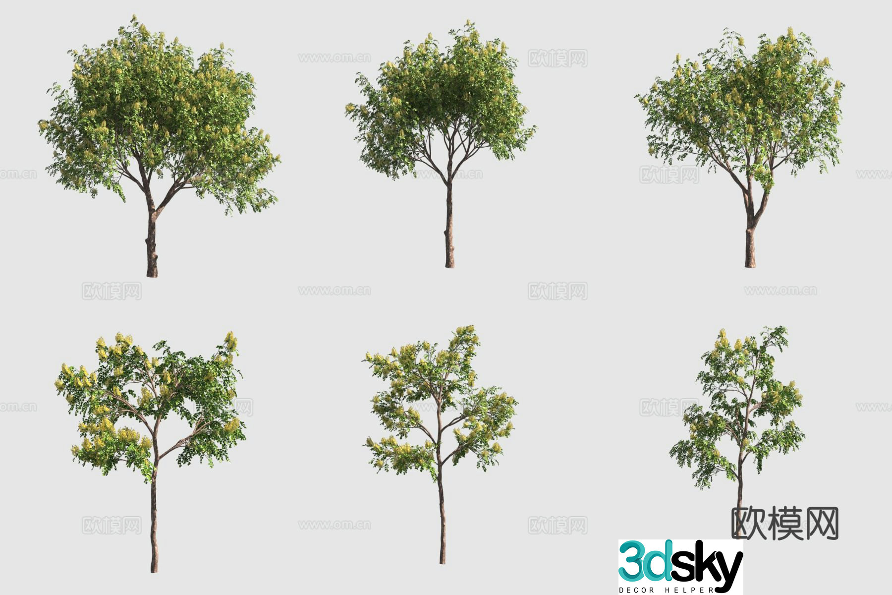 Big fruit red sandalwood Myanmar rosewood street tree landscape tree 3d model