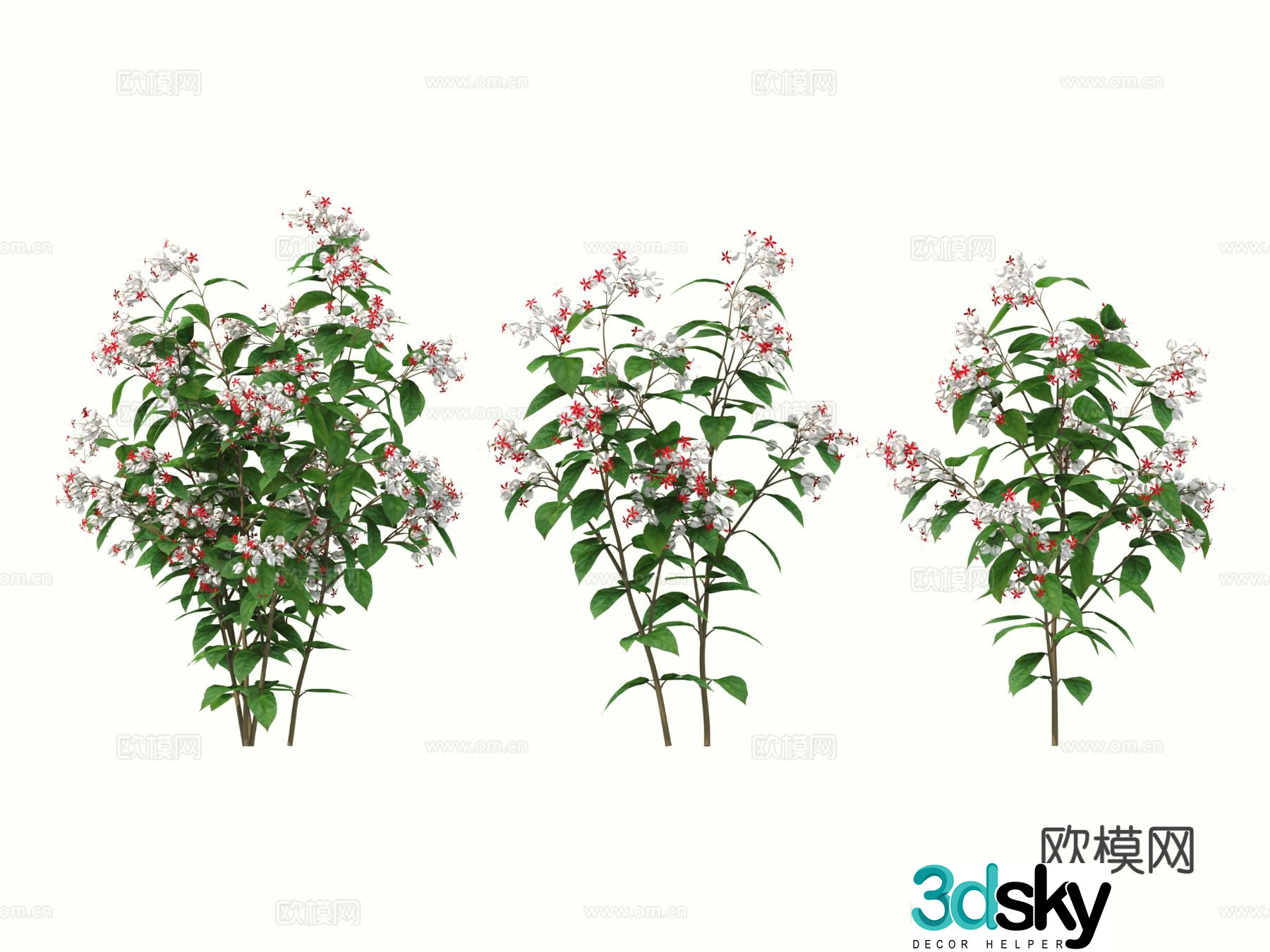 Flowers shrub flowers 3d model